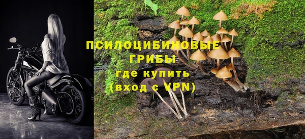мяу мяу кристалл Переславль-Залесский