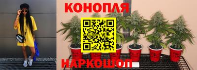 прущие крисы Волжск