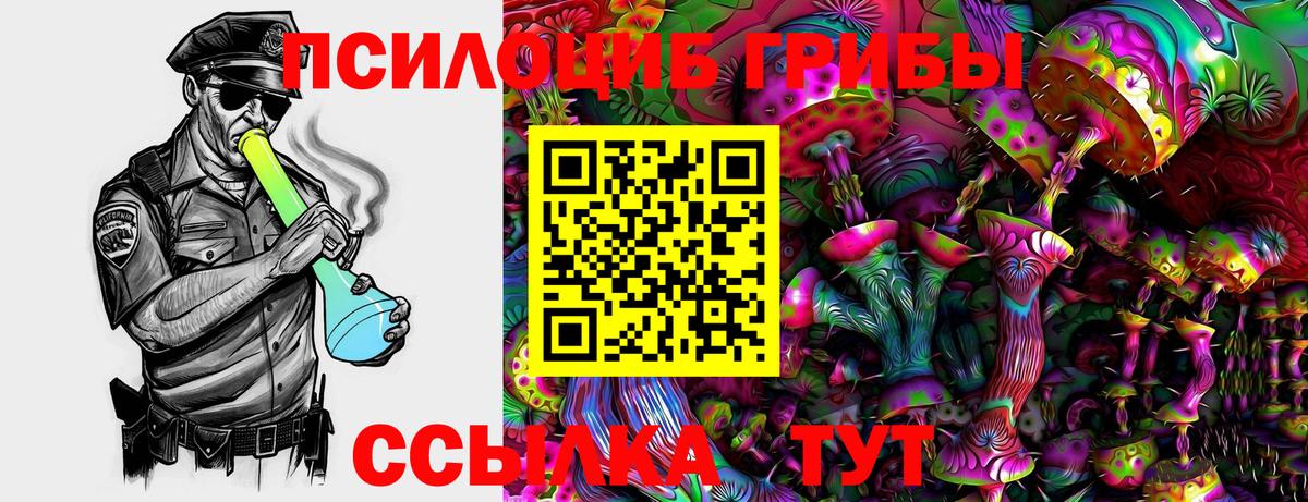 Галлюциногенные грибы Magic Shrooms Грязи