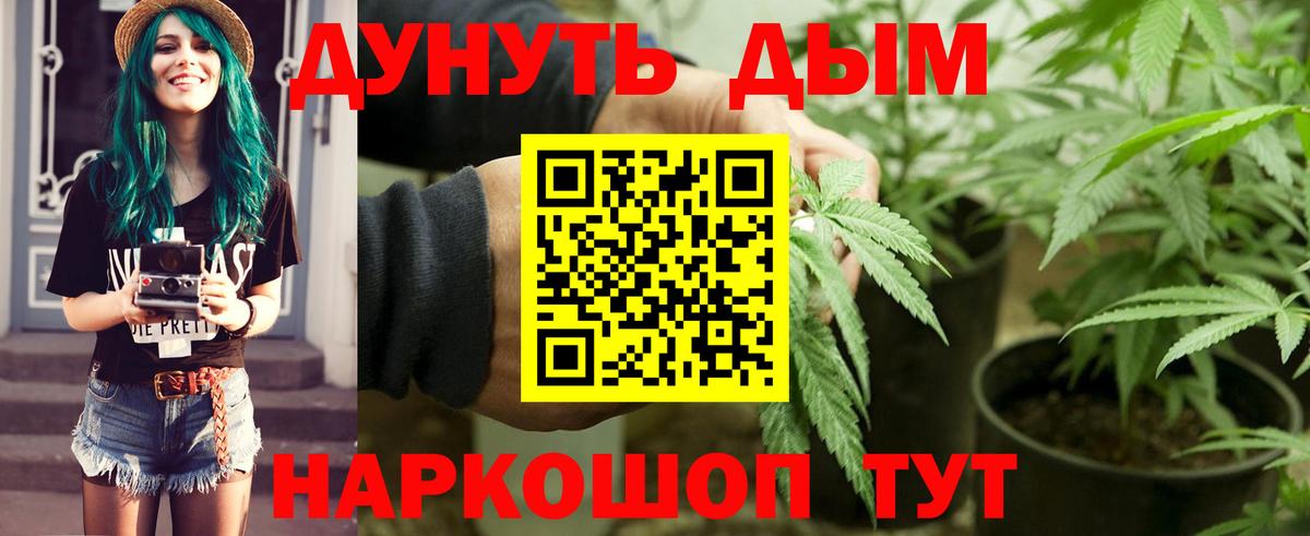 Канабис OG Kush  Шишки марихуана AK-47  Бошки Шишки MAZAR  Грязи 